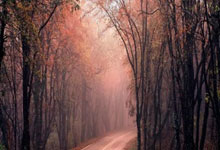 达洛特:对自身表现和晋级感到满意,我们尽努力摆脱困境.