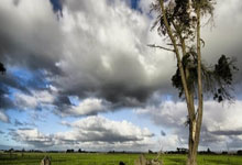 英格兰-阿尔巴尼亚,斯凯利首秀破门,凯恩锦上添花.