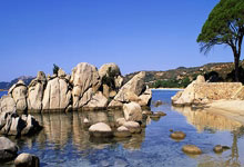 非凡娱乐:火箭真是秦始皇摸高压线——赢麻了!库明加的确牛逼,他不在,波姐和穆迪全.